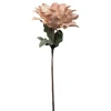AU MAISON 976-489-533-502 Blomst Pulverrose