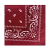 BELLA BALLOU Filuca Scarf Wine