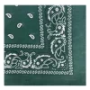 BELLA BALLOU Filuca Scarf Deep Green