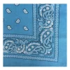 BELLA BALLOU Filuca Scarf Sky Blue