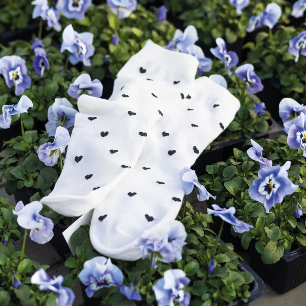 BLACK COLOUR Bclove Sock White Black