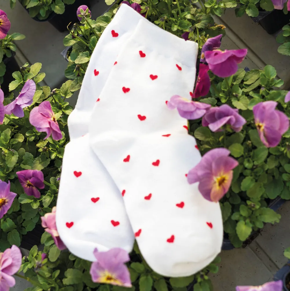 BLACK COLOUR Bclove Sock White Red