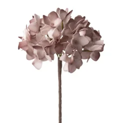 C'EST BON Hortenzia Misty Rose H68