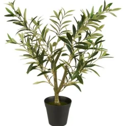 IB LAURSEN 9895-00 Olivenbusk i Potte