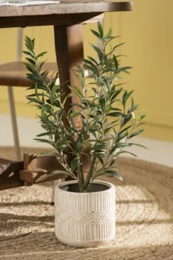 IB LAURSEN 9895-00 Olivenbusk i Potte