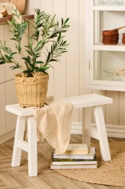 IB LAURSEN 9895-00 Olivenbusk i Potte