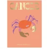 NEW MAGS Book Cancer
