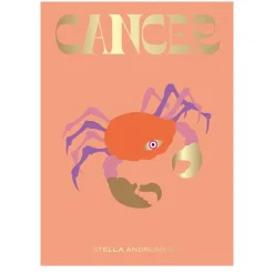 NEW MAGS Book Cancer