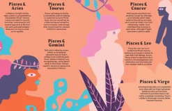 NEW MAGS Book Pisces