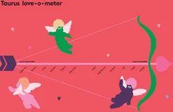 NEW MAGS Book Taurus