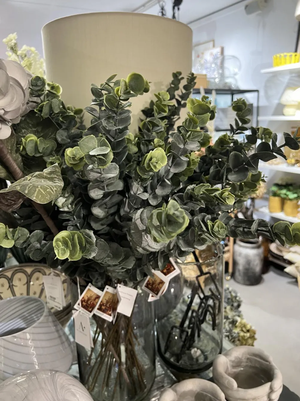 SPEEDTSBERG 183495 Eucalyptus