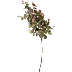 SPEEDTSBERG 225038 Eukalyptus