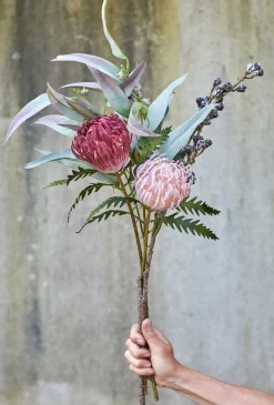 SPEEDTSBERG 214931 Eukalyptus