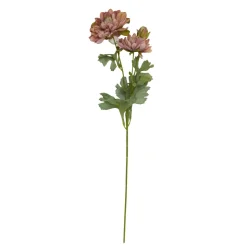 SPEEDTSBERG 215034 Georgine