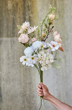 SPEEDTSBERG 225063 Georgine