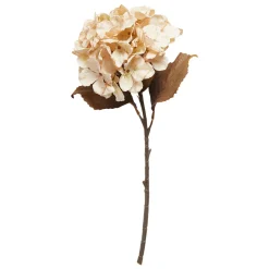 SPEEDTSBERG 204959 Hortensia