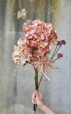 SPEEDTSBERG 204963 Hortensia