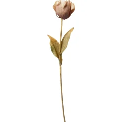 SPEEDTSBERG 225112 Åkande