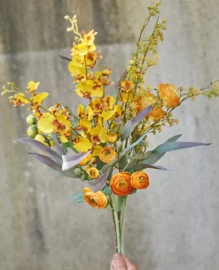 SPEEDTSBERG 235042 Ranunkel