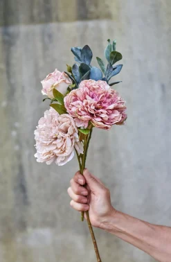 SPEEDTSBERG 204933 Rose