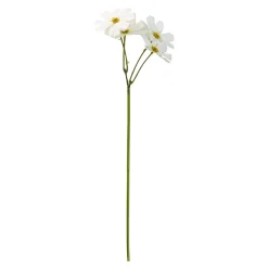 SPEEDTSBERG 235003 Stolt Kavaler