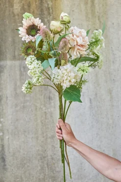 SPEEDTSBERG 234906 Vild Gulerod