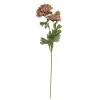SPEEDTSBERG Georgine 215034 Rose