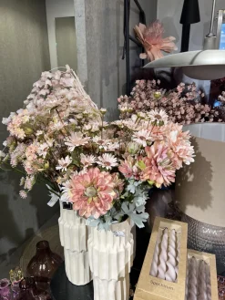 SPEEDTSBERG Georgine 215034 Rose