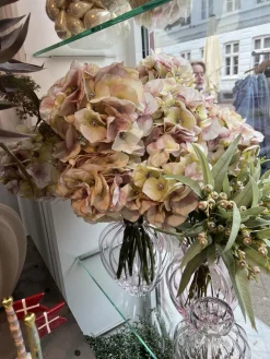 SPEEDTSBERG Hortensia Stilk 215069 Rose