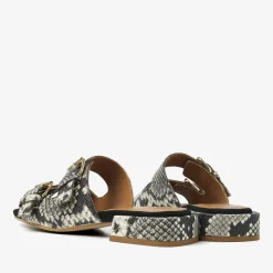 VIA VAI Pitone Roccia Giga Lena